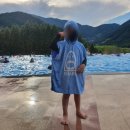 비바체(7대) 이미지