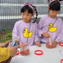 경상북도교육청김천오토캠핑장 이미지