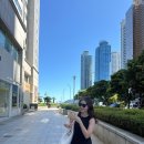 큰손참치 이미지