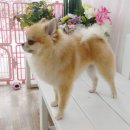 소답동237 이미지