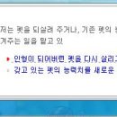 레바펫