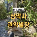 그늘막35 | 내돈내산 삼막사 관악별장 대형견 동반 가능한 카페