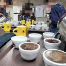 하라스페셜티커피학원