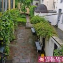 베토벤하우스 이미지