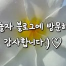 플랜비스튜디오황리단길