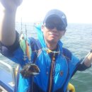 오늘도 쭈꾸미 이미지