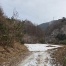 꽃골농장 네이버블로그