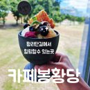 멋진남자 II | 경주 황리단길 카페 경주 기념품 카페 봉황당