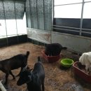 태성농장3 이미지