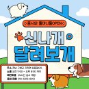 홍시와 똘마니들 이미지