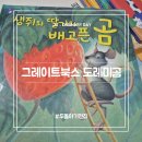동네전집 - 진천군 | 그레이트북스 도레미곰, 29개월 창작전집 후기 두돌아기 전집