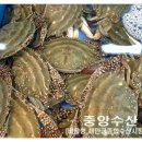 중앙수산유통 이미지