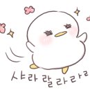 성안세탁 이미지