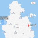 우도래요 | 🇰🇷 여유로운 우도를 가능케 하는 곳 “우도 머뭄” 숙소 후기🌴