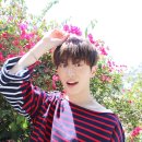 라운 이미지