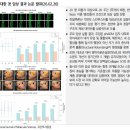 엘앤씨바이오 주가 전망 ! 리투오가 만든 수익 구조 대전환, 2026년이 진짜다