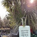 선영다방 이미지