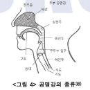 창조가인보컬아카데미 이미지