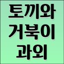 토끼와거북이과외