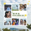 (주)제주가는날 이미지