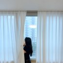 거실 쉬폰커튼 해움창 차르르 거실커튼으로 분위기 확 바꿨어요