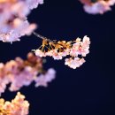 강변자전거길(남) 이미지