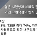 썬팅의명수