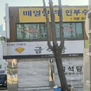 금나라은나라 | 사회 초년생의 춘천에서 커플링 맞추기 대작전 (금나라 은나라, 금석당, 티파니, 미니골드, 진보석)