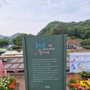 전북 임실 1박2일 여행 코스 추천 Part.2 (옥정호 출렁다리 - 붕어섬 생태공원 - 왕의지밀)