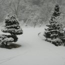 물안개농박 이미지