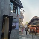 콩지 pot지 이미지