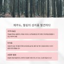 리프레시 이미지