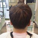 민남성컷