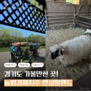 (주)안성목장 | 농협경제지주 안성팜랜드 ::: 입장권 온라인예매 꿀팁, 전동자전거 2인용 이용 후기 / 놀이기구부터...