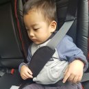 (주)지오위즈 이미지