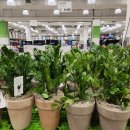 트레이더스 홀세일클럽 서면점(대형마트) 이미지