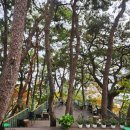 만덕농장 | 부산 동래 카페 파나카F 테라스가 예쁜 부산단풍카페