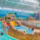 롯데워터파크(스파) 이미지