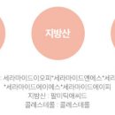 팔미시스템 이미지