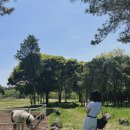 지존목장 이미지