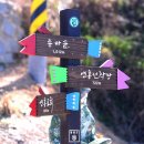 연홍도 이미지