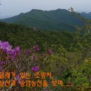 관터 이미지