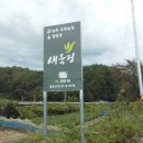 새움정 | 애견 동반이 가능한 프라이빗 한 캠핑장 예천 새움정 후기