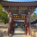 오감플러스원 이미지