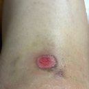 새솔외과의원 이미지