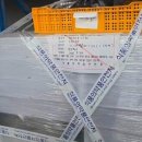[검경투데이] '미신고 유리병' 알부민 대거 적발…"2200만병 제조판매"