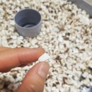 돈이농장 이미지