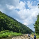 원전어촌계 (조선)낚시터 | 마산 선상콘도 후기, 창원 원전항 선상낚시 다녀온 이야기