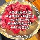 스타 | 울산 달동 고기집 담가화로구이 소큐브눈꽃살 맛집 가성비 가족외식