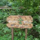 매지유아숲체험원 이미지